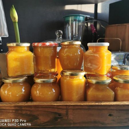 Akuaduulza B&B Como Lake 산 시로 외부 사진